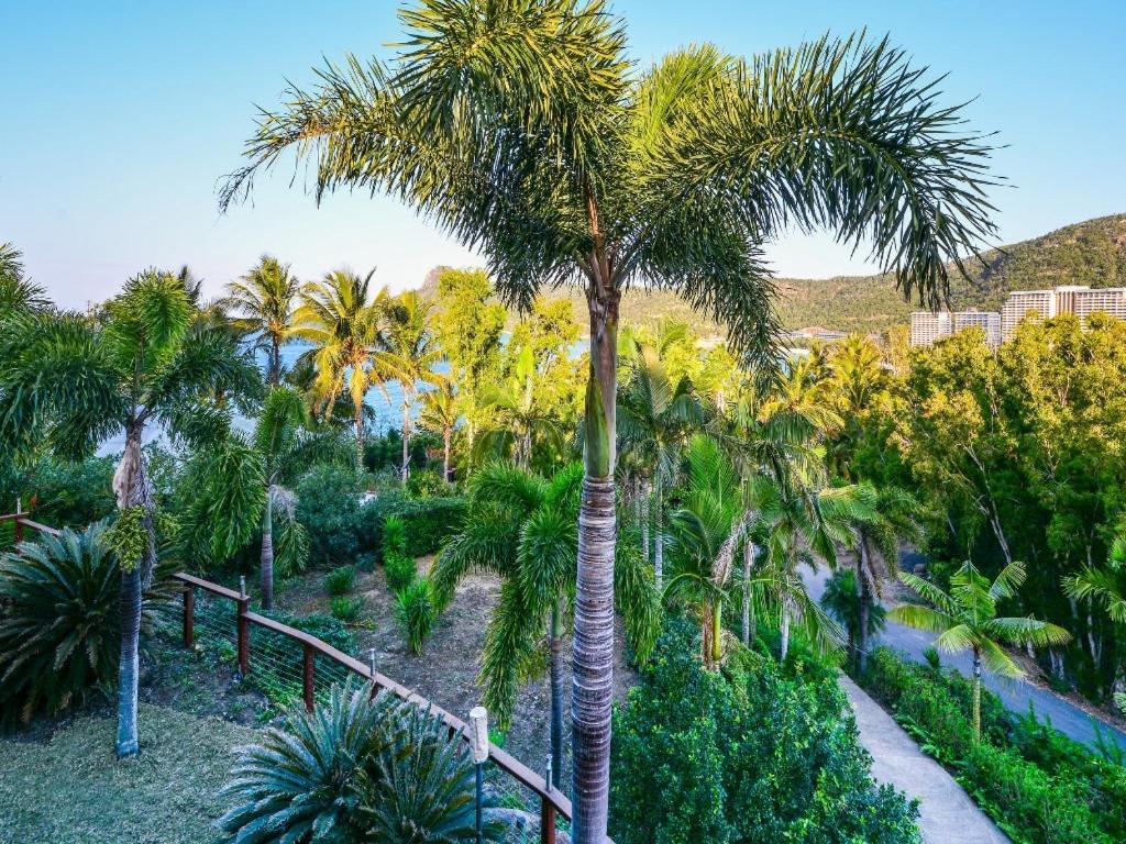 The Palms On Hamilton Island Vila Exterior foto